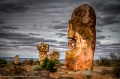 Desert Park - Broken Hill