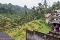 Bali Countryside